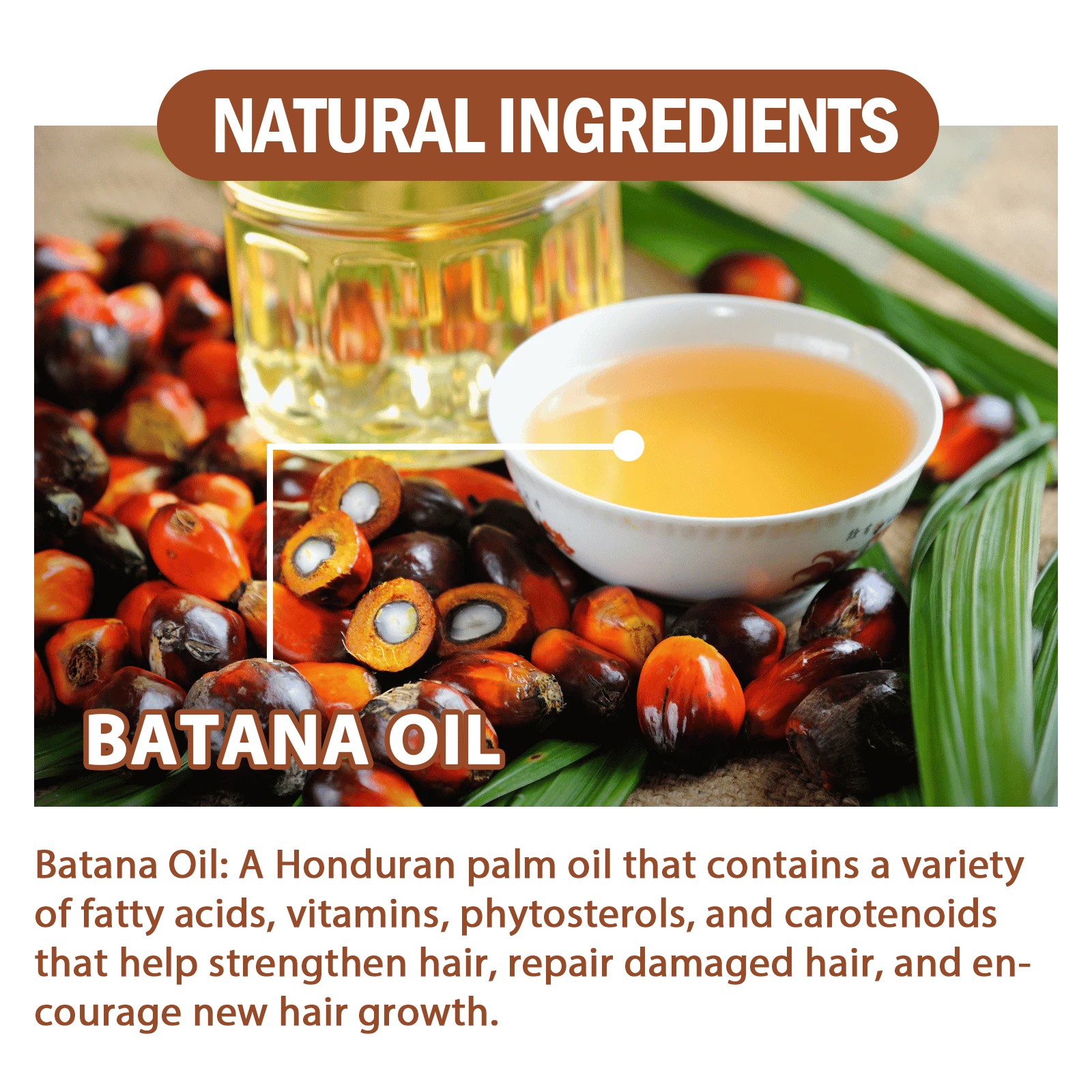 Batana Oil – 100% Organic – Pure, Natural Healthy Hair Growth & Skin Moisturizer