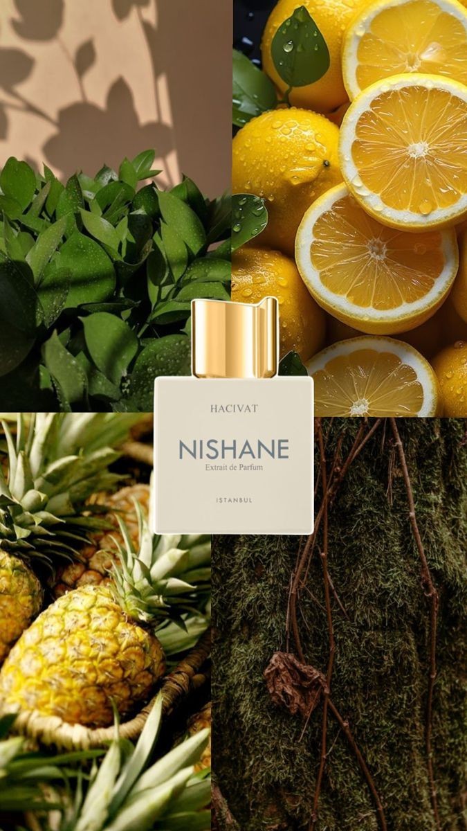 Nishane Hacivat by Nishane, 3.4 oz Extrait De Parfum Spray for Unisex