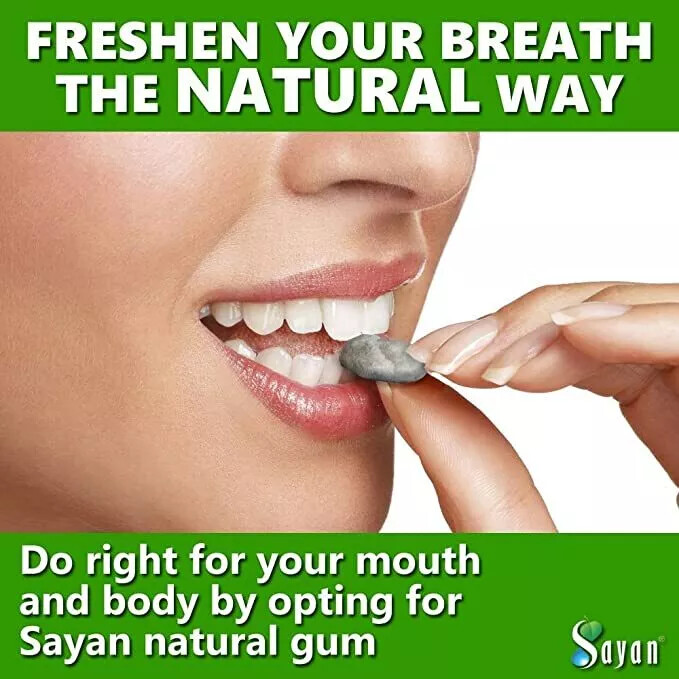 Sugar Free Chewing Gum All Natural Larch or Pine Tree Resin Flavor with Beeswax