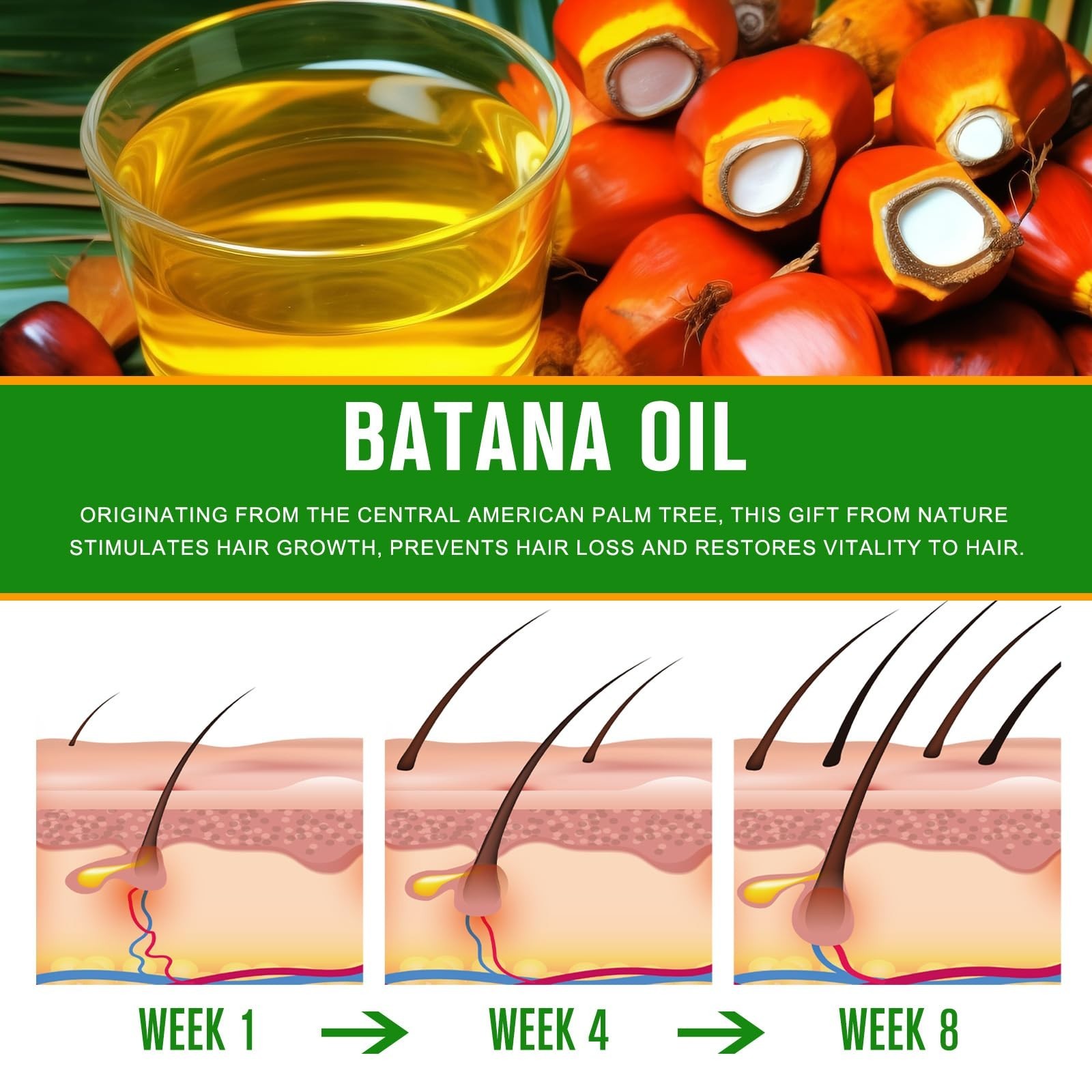Batana Oil – 100% Pure & Natural from Honduras for Hair Growth, 2.02 fl oz …
