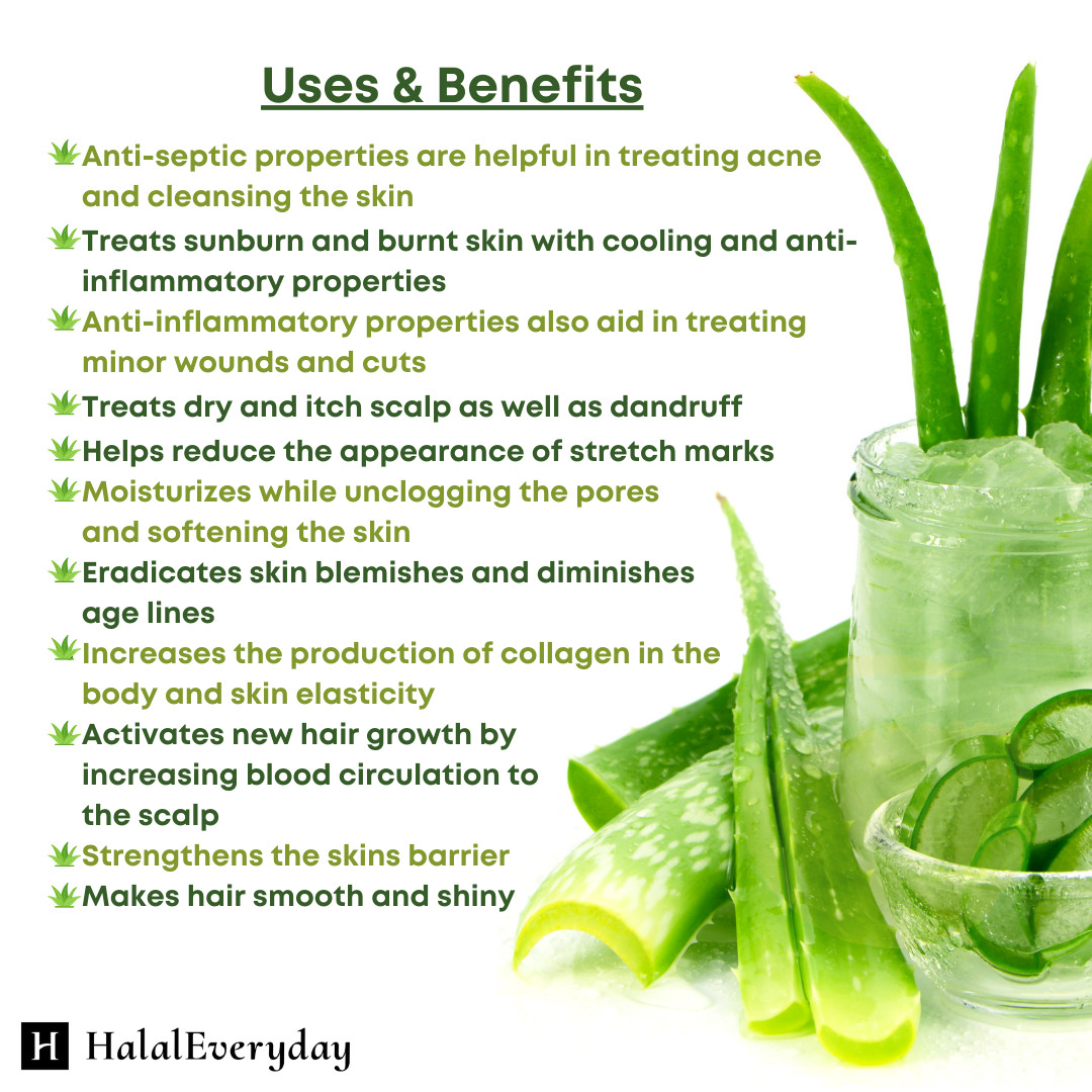 Aloe Vera Gel – 100% Pure Organic Soothing Moisturizing Skin Care Lotion BULK