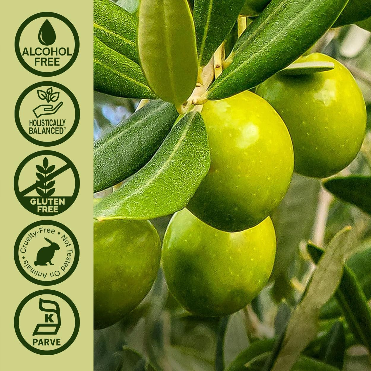 Olive Leaf Extract Liquid 2 fl oz Alcohol-Free Non-GMO Vegan Wellness Supplement