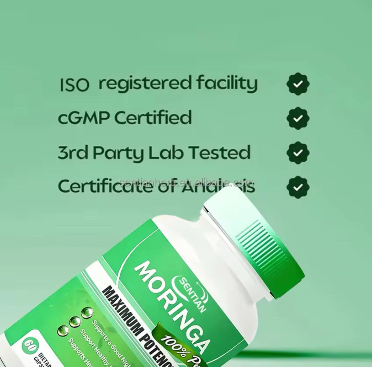 DEZEN Organic Moringa Powder Capsules, Superfood, 60 Caps Each, Vegan, Non‑GMO