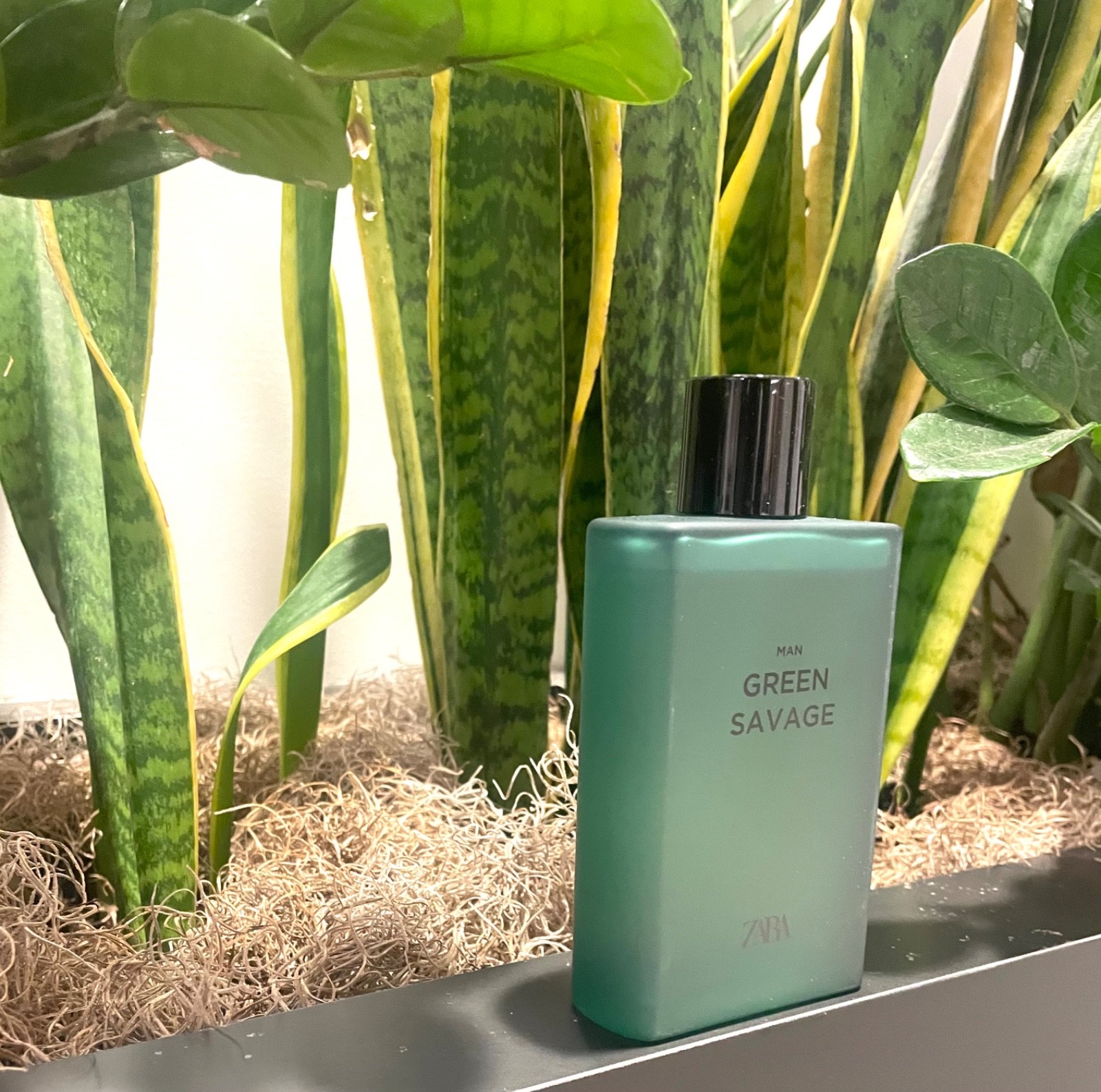 ZARA Green Savage for Men 5.07 oz (150ml) EDT Spray RETAIL BOX