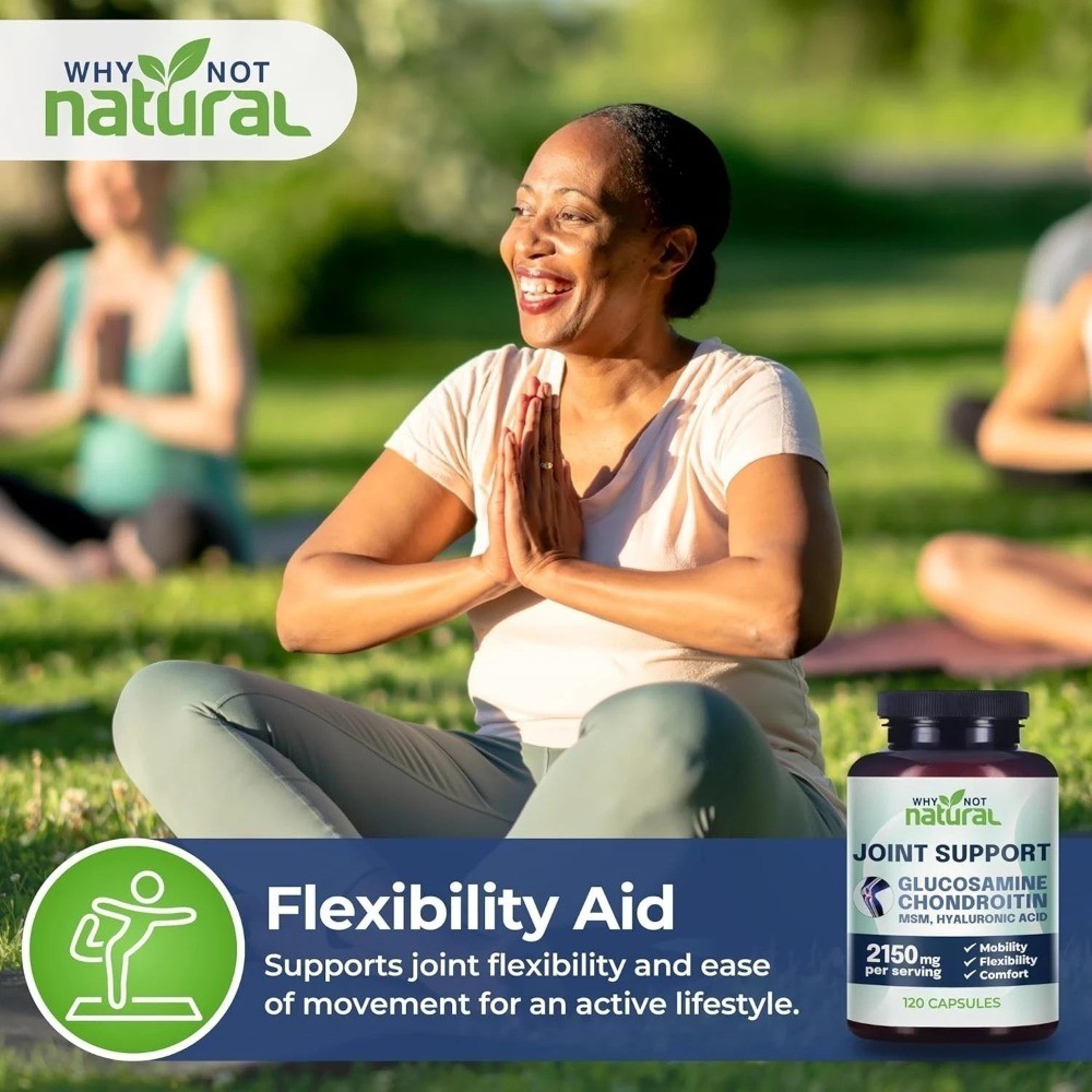 Why Not Natural Glucosamine Chondroitin MSM Joint Support Supplements – 120 Caps