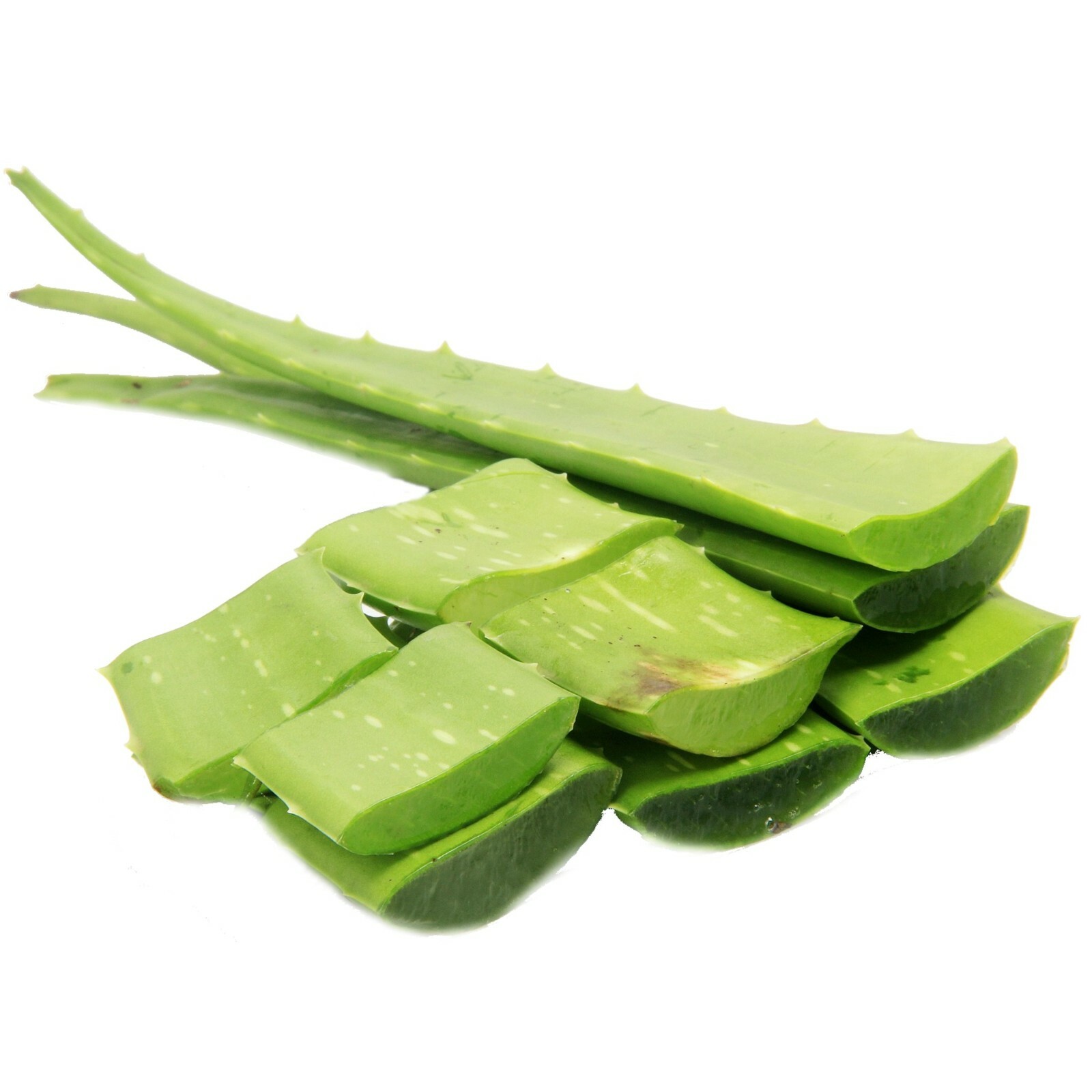 Aloe Vera Gel – 100% Pure Organic Soothing Moisturizing Skin Care Lotion BULK