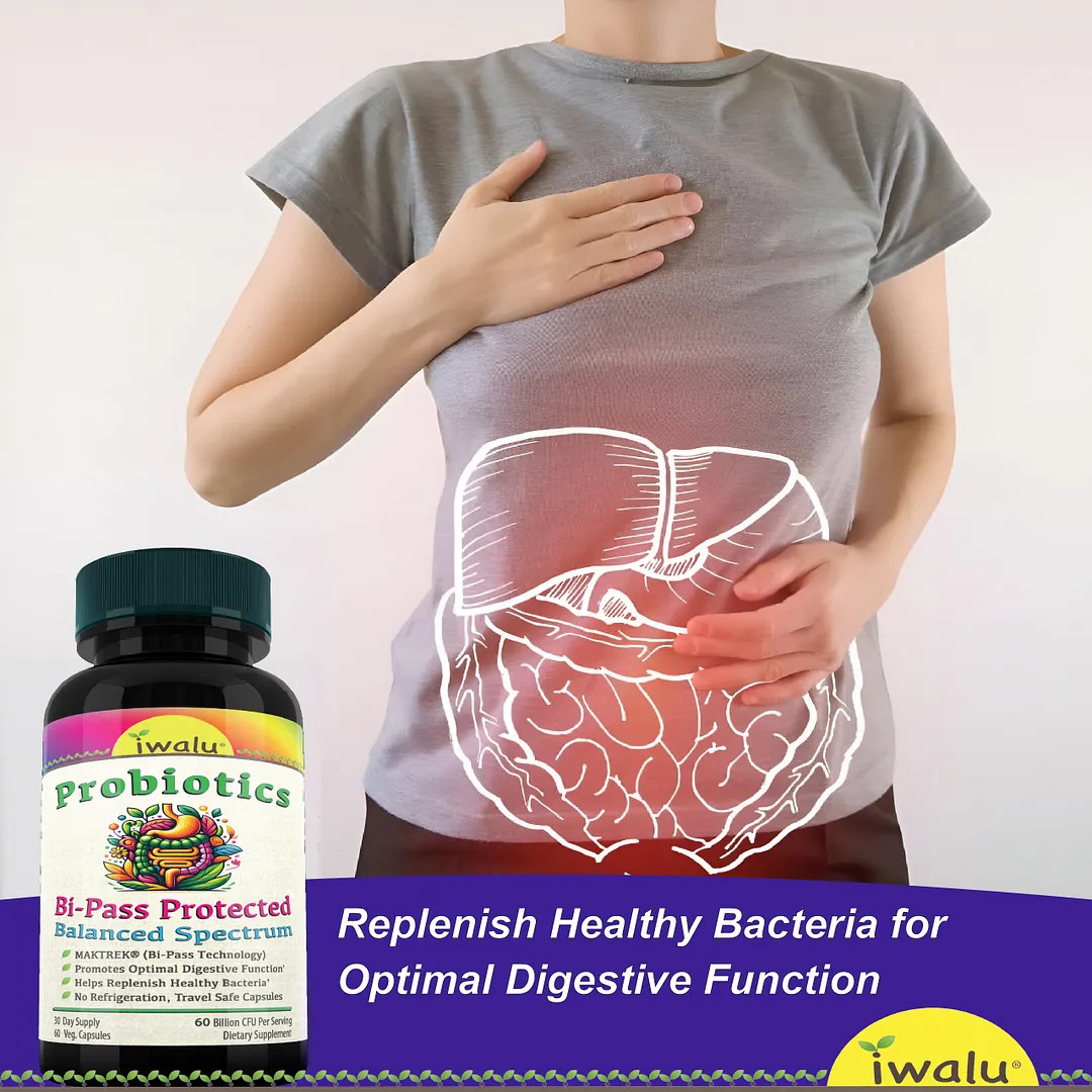 High Amylase And Lipase | Best Supplement Capsule Pill Men Women FREE SHIP