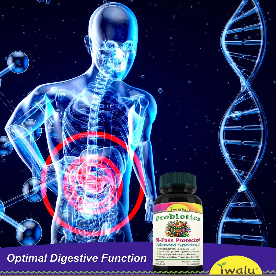 High Amylase And Lipase | Best Supplement Capsule Pill Men Women FREE SHIP