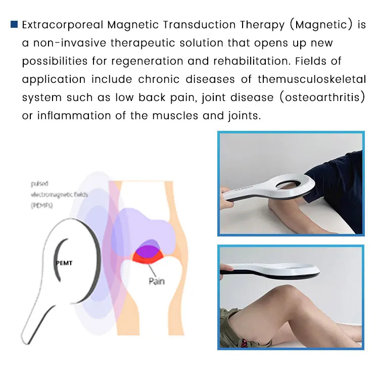 Spa Physio Pain Magnetic Transduction Therapy Magneto EMTT PEMF Massage Machine