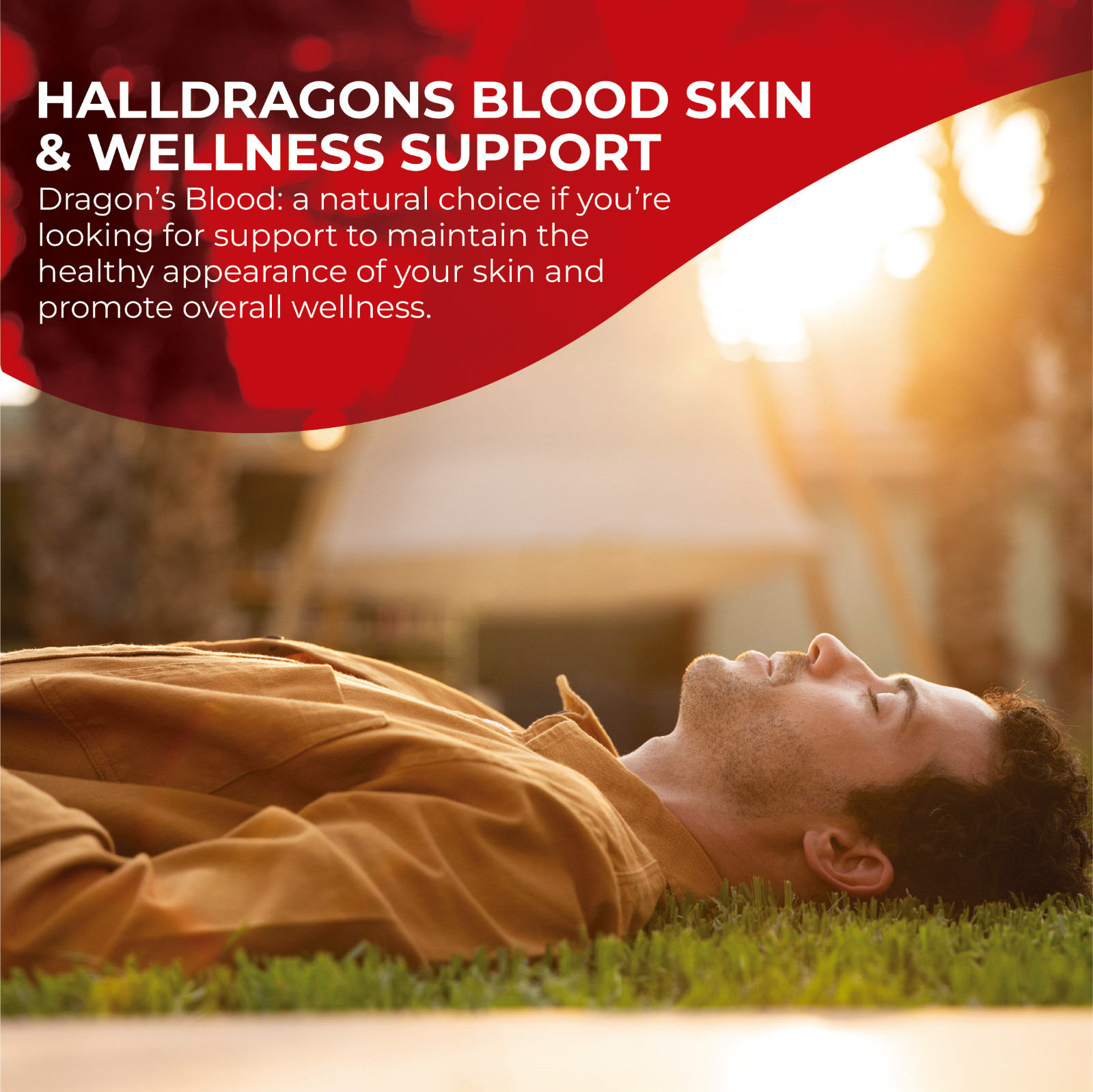Hallusa Natural Dragon’s Blood capsules 1000mg – Croton Lechleri – 60 Count