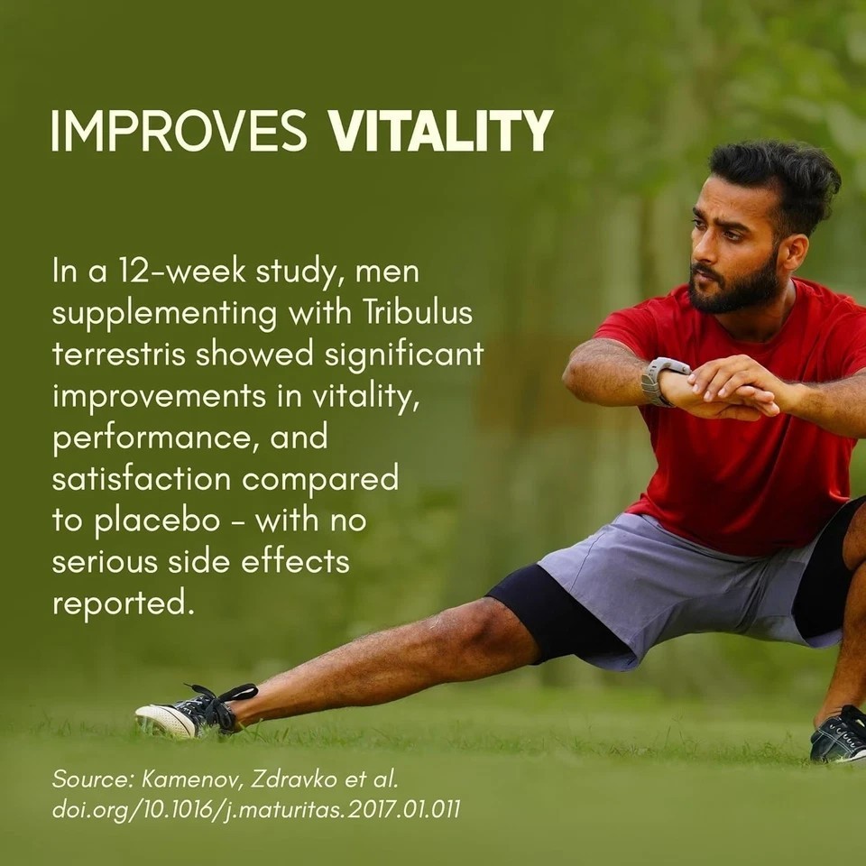 Gokshura -Puncture Vine ( Tribulus terrestris ) 1000mg – 60 Tablet ( pack of 2 )