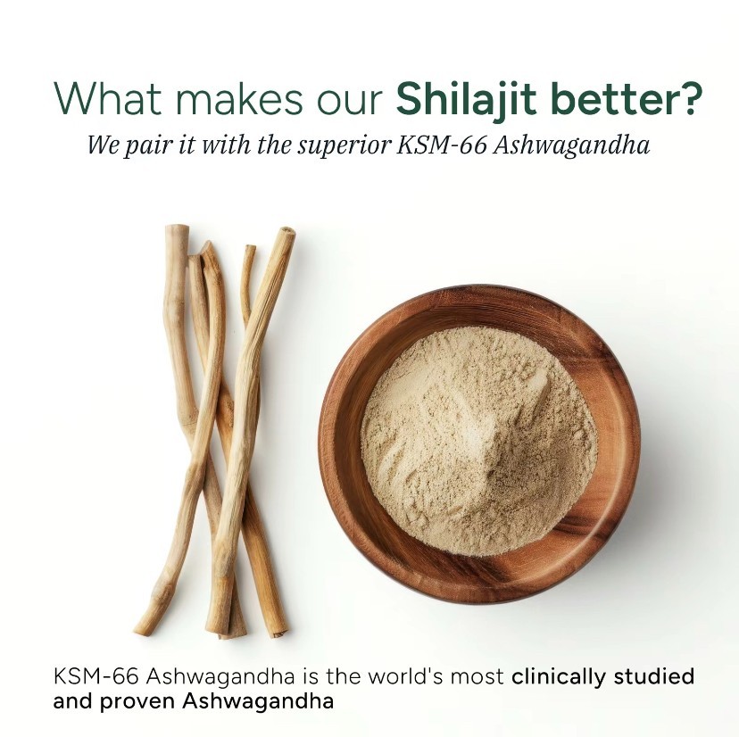 Himalayan Shilajit Gummies with KSM 66 Ashwagandha No Sugar 120 Chewables