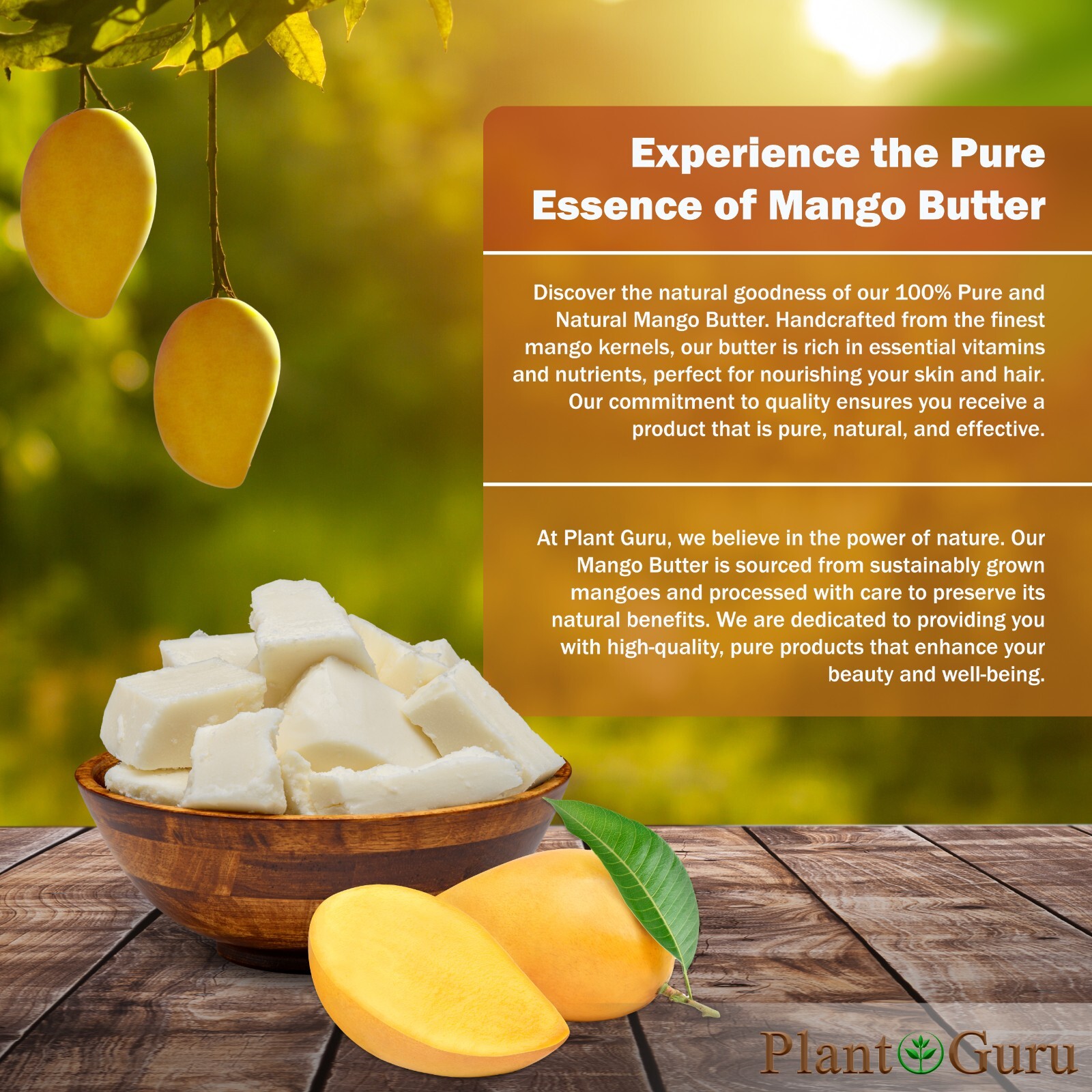 Mango Butter Raw 8 oz. 100% Pure Unrefined Organic Natural For Skin, Body, Hair