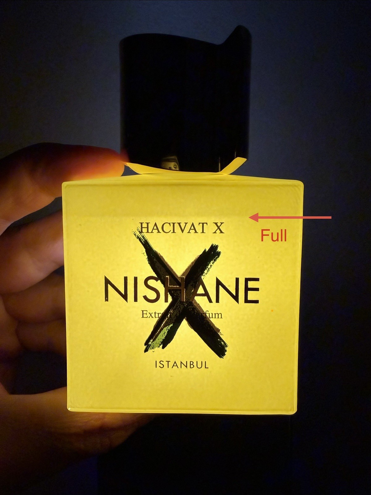 Nishane Hacivat X Extrait de Parfum 1.7 oz Fragrance 8683608071058