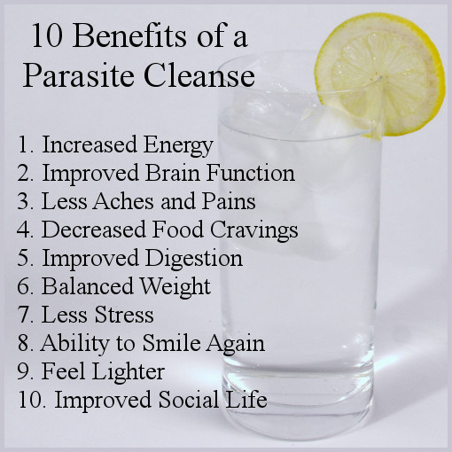 parasite cleanse for humans best seller – GRAVIOLA – ANTI-PARASITES COMBO 2B – b