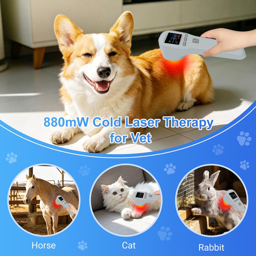 650nm 808nm Red Light Therapy Device Class 3B Cold Laser for Joints Pain Relief
