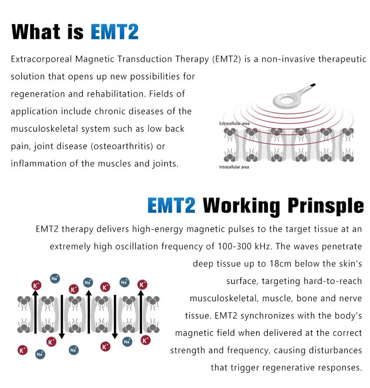 Spa Physio Pain Magnetic Transduction Therapy Magneto EMTT PEMF Massage Machine
