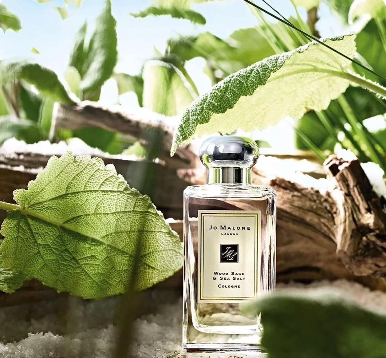 Jo Malone Wood Sage & Sea Salt 3.4oz / 100ml Cologne Spray