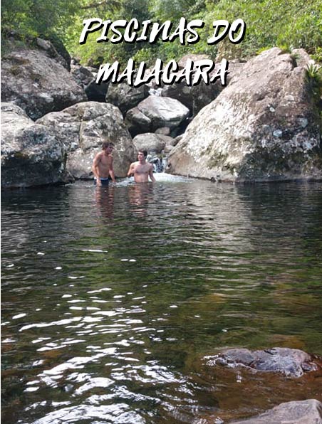 malacara